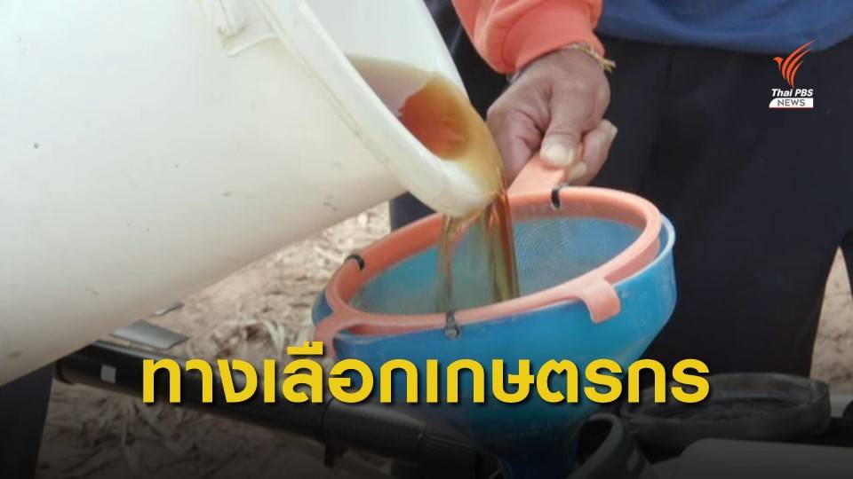 THE EXIT : ทางเลือก...เลิกใช้ "พาราควอต-คลอร์ไพริฟอส"