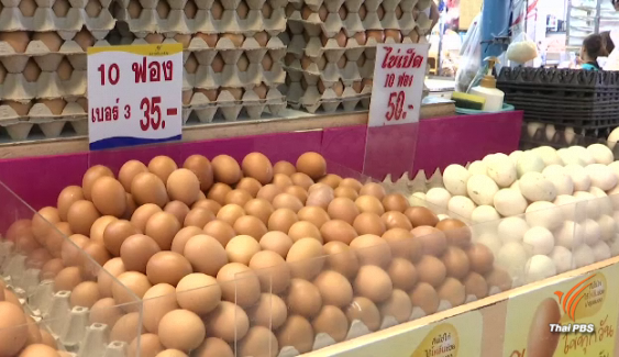 แผงขายไข่ไก่เงียบ คนซื้อน้อยแม้ราคาลดตลอด 2 เดือน   