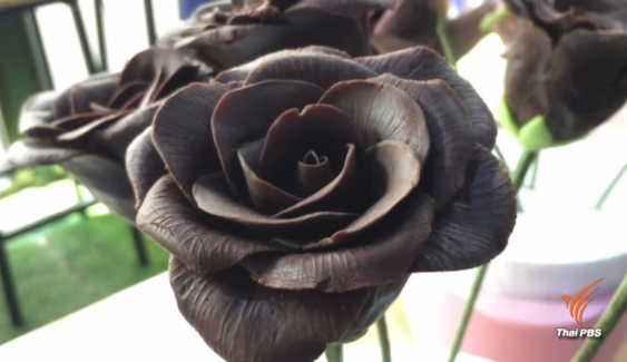 ดอกกุหลาบช็อกโกแลตสร้างสีสันช่วงวันวาเลนไทน์