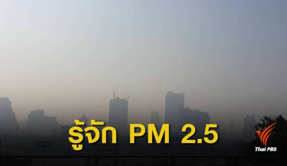 สารก่อมะเร็งที่มองไม่เห็น ฝุ่นละออง PM2.5 ในอากาศ