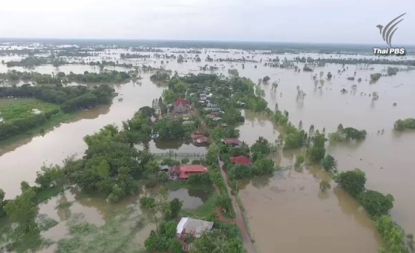 แม่น้ำชีทะลักเข้าท่วม 2 หมู่บ้านเมืองมหาสารคาม บ้านเรือน-นาข้าวเสียหายหลายพันไร่ 