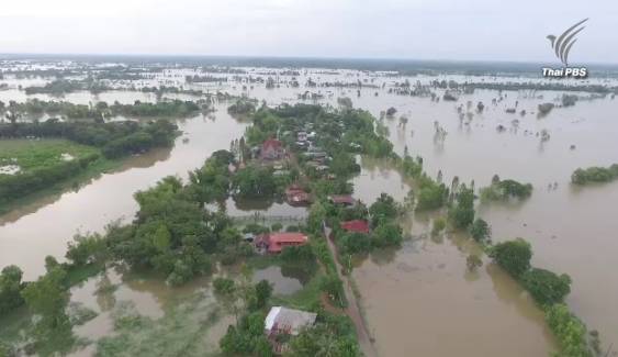 แม่น้ำชีทะลักเข้าท่วม 2 หมู่บ้านเมืองมหาสารคาม บ้านเรือน-นาข้าวเสียหายหลายพันไร่ 