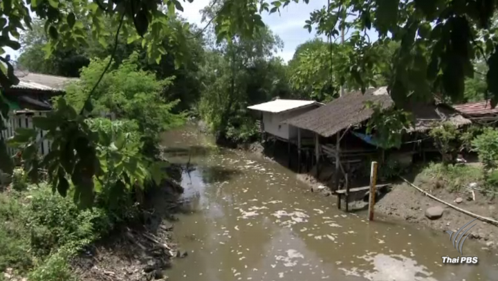 ชาวบ้านในพื้นที่ 3 จังหวัดเรียกร้องเร่งกำจัด "ปลาหมอสีคางดำ" อย่างเร่งด่วน