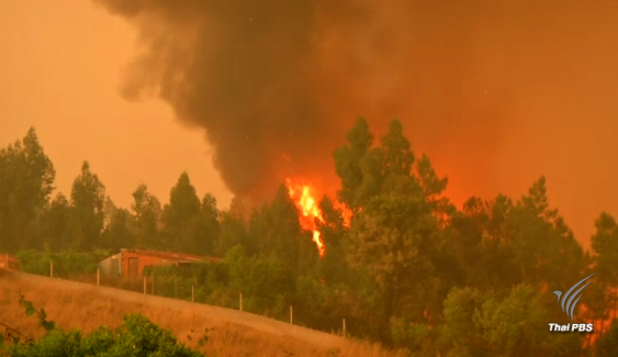 วิกฤตไฟป่าครั้งเลวร้ายในโปรตุเกส เสียชีวิตเพิ่มเป็น 62 คน 