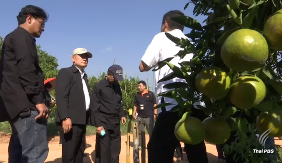 ส.ป.ก.สะดุดจัดสรรที่ดินสวนส้ม-เกษตรกร 93 รายอ้างสิทธ์ทำกินก่อนประกาศยึดคืน 