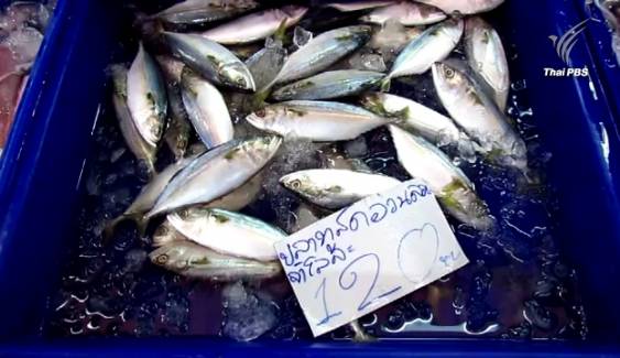 อาหารทะเลปรับราคาขึ้น หลังปิดอ่าวไทย