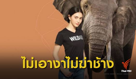 “ใหม่” ชวนคนไทย #ไม่เอางาไม่ฆ่าช้าง