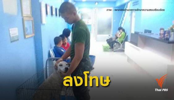 ผบ.ทบ.สั่งลงโทษทางวินัยทหารสั่งมัดขาหมาตากแดด 