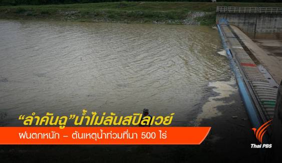  ชี้แจง "ลำคันฉู" น้ำไม่ล้นสปิลเวย์-ฝนตกต้นเหตุน้ำท่วม 500 ไร่    
