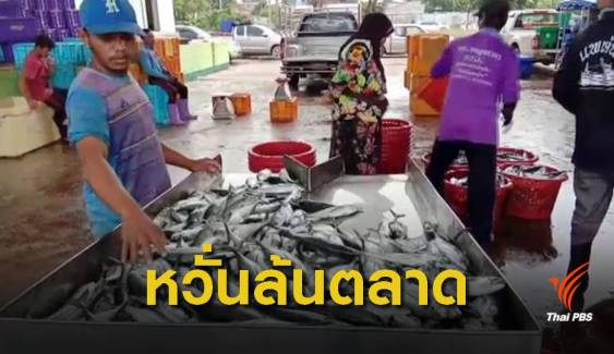 เรือประมงร้องรัฐบาลยกเลิกเปิดนำเข้าเสรีสัตว์น้ำต่างประเทศ