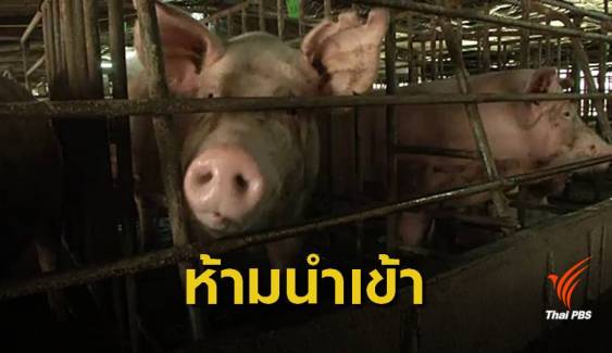 สกัดโรคอหิวาต์สุกร คุมเข้มห้ามนำผลิตภัณฑ์แปรรูปหมูจีน 