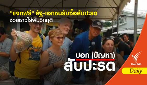 "แจกฟรี" รัฐ-เอกชนรับซื้อสับปะรดช่วยชาวไร่พ้นวิกฤติ