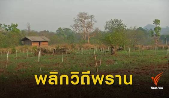 "พราน" เปลี่ยนวิถีชีวิตมาทำเกษตร หลังคดีล่าเสือดำป่าทุ่งใหญ่