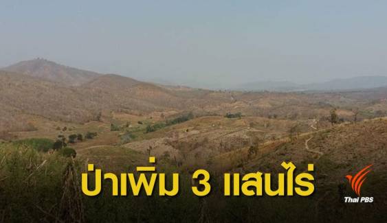 ข่าวดี ! หนึ่งปีป่าไม้ไทยเพิ่ม 3.3 แสนไร่ 