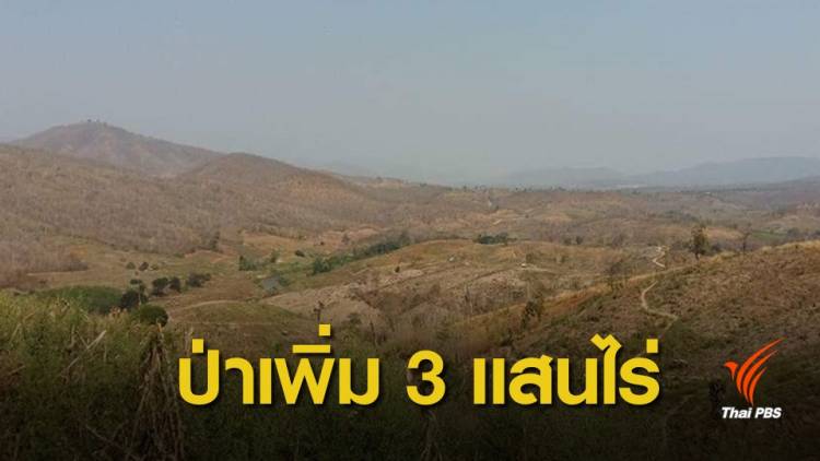 ข่าวดี ! หนึ่งปีป่าไม้ไทยเพิ่ม 3.3 แสนไร่ 