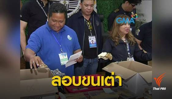 ฟิลิปปินส์ยึดเต่ากว่า 1,500 ตัวซ่อนใส่กระเป๋าลอบเข้าประเทศ