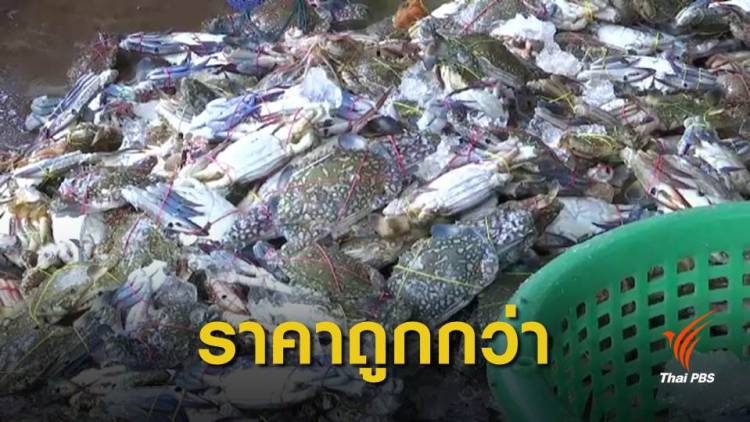 อาหารทะเลเมียนมาตีตลาดไทย