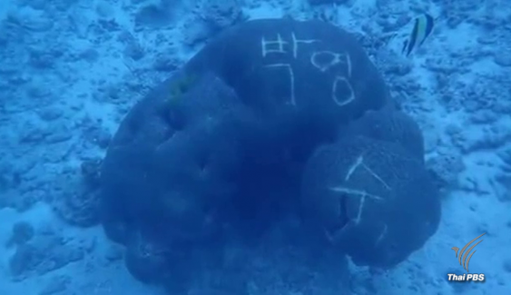 พบปะการังใต้ทะเลหมู่เกาะสิมิลันถูกขีดเขียนเป็นภาษาเกาหลี ผู้ประกอบการดำน้ำวอน จนท.ตรวจสอบ  