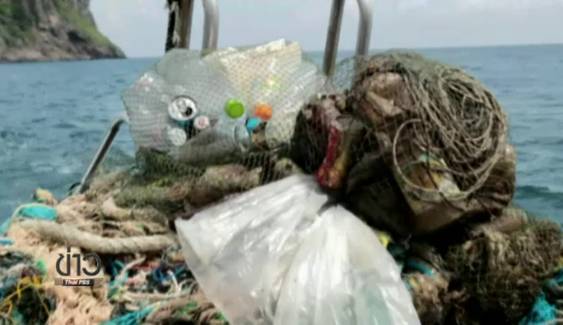 อาสาสมัครร่วม "ทำความสะอาดบ้านปลาเพื่อพ่อ" เก็บขยะใต้ทะเลเกาะพีพี