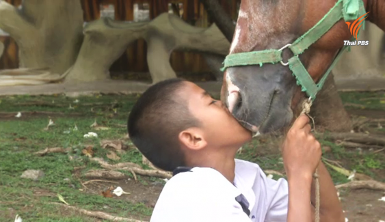 "น้องจี๊ฟ" เด็กชายผู้หลงใหลม้ากับความฝันสู่การเป็นทหารม้า
