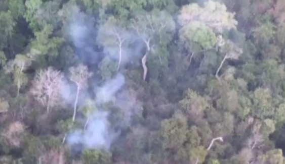 ประธานมูลนิธิฟื้นฟูชีวิตฯ เผยไฟป่ารุนแรงเกิดจากป้องกัน-ควบคุมไม่ถูกประเภทของป่า