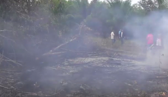ไฟไหม้ป่าละเมาะกระบี่ลุกลามพื้นที่เกษตร เสียหายกว่า 120 ไร่ 