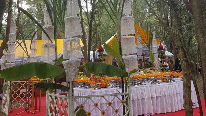 ตัดไม้จันทน์หอม 12 ต้น สร้างพระโกศพระบรมศพ