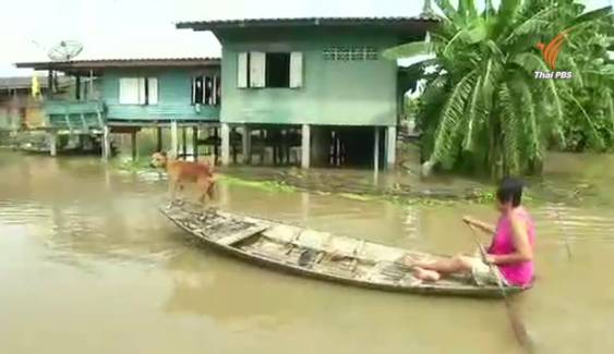 ชาวกรุงเก่าเตรียมรับมือน้ำเจ้าพระยาสูงขึ้น