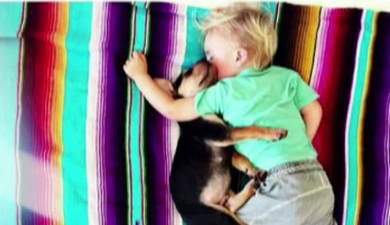ภาพถ่ายลูกสุนัขนอนหลับข้างเด็กทารกในสหรัฐฯ