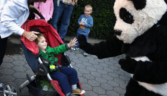 สวนสัตว์แห่งชาติ สหรัฐฯ เปิดอีกครั้ง หลังพ้นวิกฤตงบฯ-นักท่องเที่ยงหนาแน่น