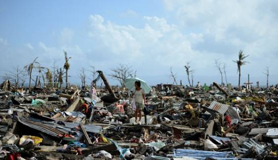 FAO เร่งช่วยเหลือชาวนาฟิลิปปินส์ หลังพื้นที่ปลูกข้าวเสียหายจาก "พายุไห่เยี่ยน"