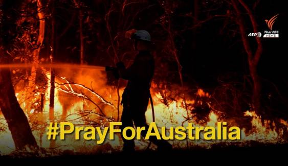เศร้า! 480 ล้านชีวิตสัตว์ออสเตรเลีย ตายในวิกฤตไฟป่า