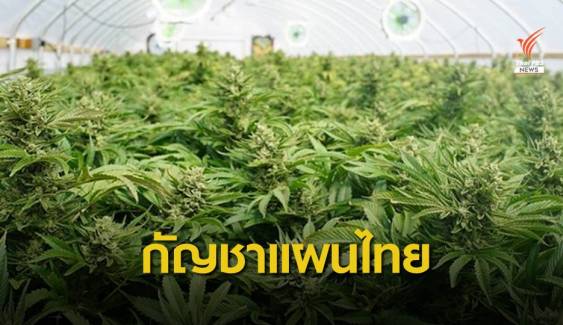 ก.ย.นี้ คลินิกจ่าย 2 ตำรับยาแผนไทย "ศุขไสยาศน์-น้ำมันสูตรเดชา"
