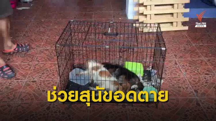 เข้าช่วยสุนัขอดอาหารตายในบ้าน 9 ตัว จ.นนทบุรี