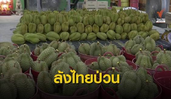 จีนเข้มนำเข้าผลไม้ต้องขึ้นทะเบียน GMP ป่วนตลาดทุเรียนไทย