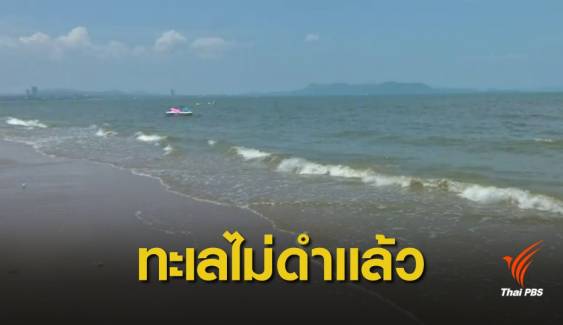 "หาดจอมเทียน" เปิดเล่นน้ำปกติ เดินหน้าหาแนวทางบำบัดน้ำเสีย