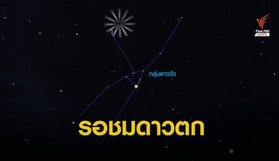คืน 12 พ.ย. รอชม "ฝนดาวตกทอริดส์เหนือ" เห็นด้วยตาเปล่าทั่วไทย