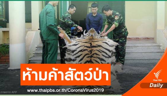 เวียดนามสั่งห้ามล่า-ค้าสัตว์ป่าป้องกัน COVID-19 ระบาด