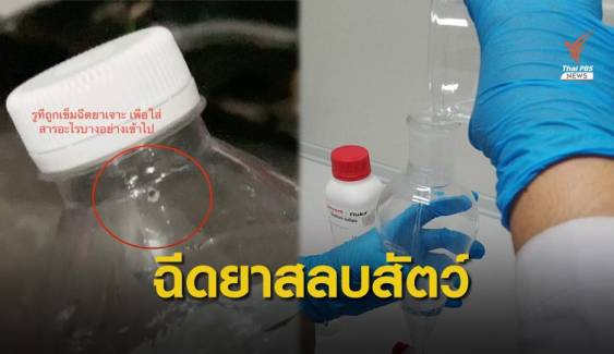 รอง ผบช.ภ.1 สั่งขยายผลคดีฉีดสาร "ไซลาซีน" ในขวดน้ำนักวิ่ง