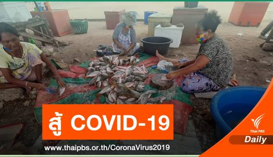 เริ่มพรุ่งนี้ "ขนข้าวชาวนา เปลี่ยนปลาชาวเล" สู้ COVID-19