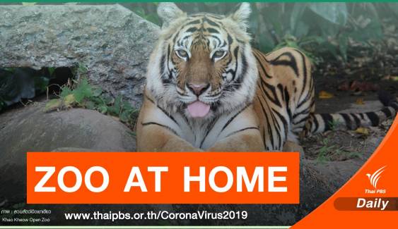 "ZOO AT HOME" เที่ยวสวนสัตว์แบบออนไลน์ ยุค COVID-19