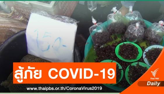 ขาย "อึ่งอ่าง-เเมงมัน" สู้ภัย COVID-19 จ.ลำปาง