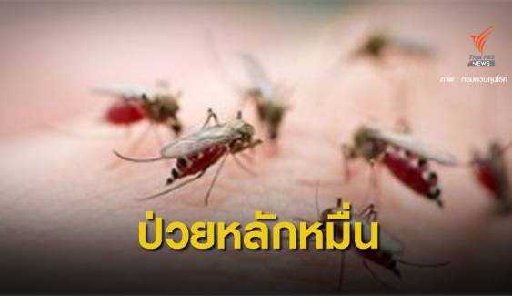 "ไข้เลือดออก" ระบาด 5 เดือนตาย 9 ป่วยทะลุ 1 หมื่นคน