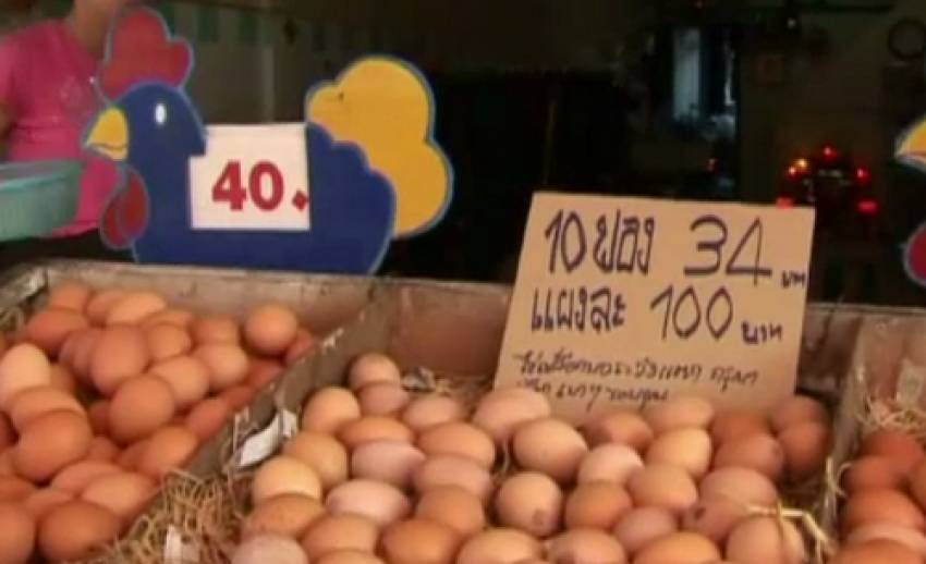 ผู้ค้าภาคกลางเตรียมปรับขึ้นราคาไข่ไก่