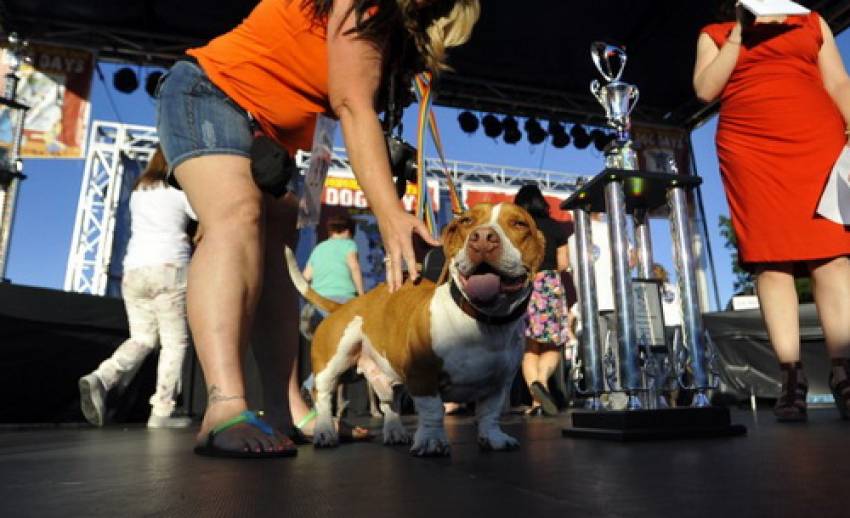 เจ้าตูบ"วัลเล่"คว้าแชมป์สุนัขขี้เหร่ที่สุดในโลก