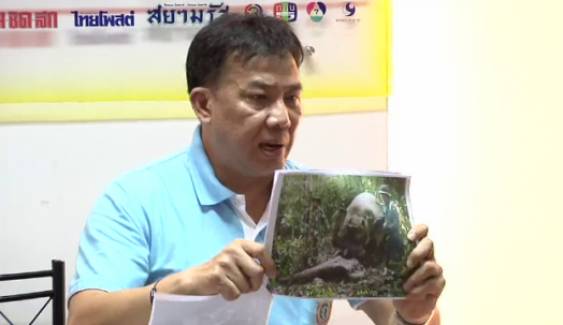 นักอนุรักษ์ช้างไทย เชื่อช้างถูกฆ่าหวังสร้างความขัดแย้ง "เจ้าหน้าที่-ชาวบ้าน"