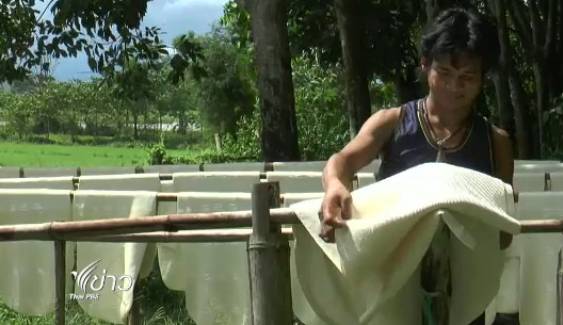 เกษตรและสหกรณ์ เตรียมดันยางไทย "ศูนย์กลางอาเซียน" หวังแก้ราคาระยะยาว