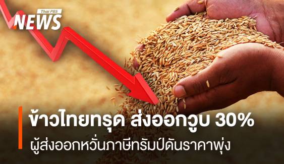 ข้าวไทยทรุด ส่งออกลดฮวบ 30% ผู้ส่งออกหวั่นภาษีทรัมป์ดันราคาพุ่ง