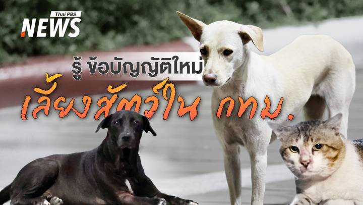 เลี้ยงสัตว์ใน กทม.ต้องรู้ ข้อกฎหมายใหม่ ควบคุมการเลี้ยง-ปล่อยสัตว์ 