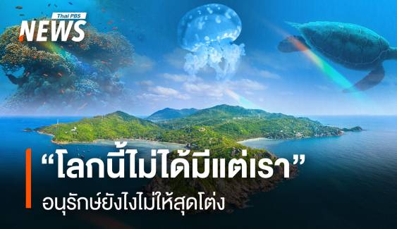 อนุรักษ์ยังไงไม่ให้สุดโต่ง “โลกนี้ไม่ได้มีแต่เรา” แต่มีอีกหลายคนที่สำคัญอยู่รอบตัว